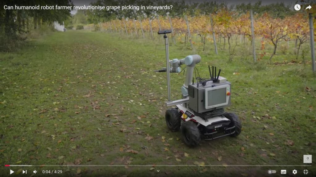 Un joyeux robot vendangeur