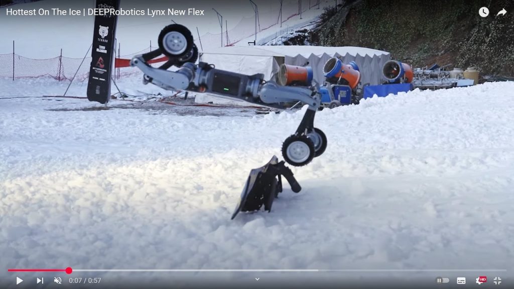 Le Lynx qui court dans la neige… vers ses acheteurs