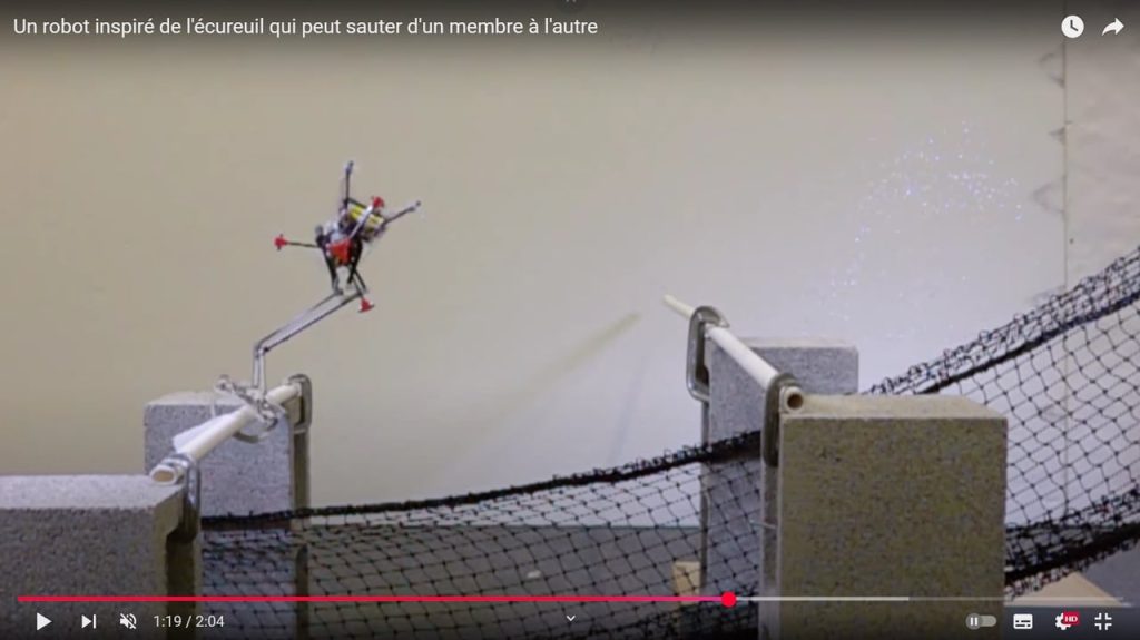 Le robot qui imitait l’écureuil veut partir dans les étoiles